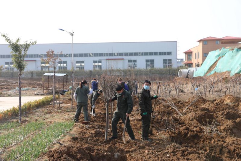 绿化国泰 美化人生-国泰科技组织义务植树活动